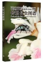 Typical Agro-Forestry Ecotone in Tropical and Subtropical Regions of China-Photographic Atlas of Insect Pollinators