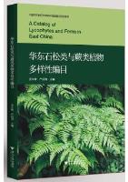 A Catalog of Lycophytes and Ferns in East China