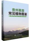 Field Guide to Common Plants in Guizhou Grasslands