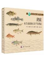 Systematic Synopsis of Fishes and Hand-drawing in Hunan