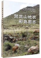 Colorful Illustrated Guide to Lichens in Helan Mountains