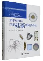 Species Diversity of Planktonic Diatoms in the Tropical Indian Ocean