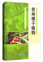 Gymnosperms of Guizhou