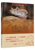 Identification and Snakebite Prevention of Terrestrial Venomous Snakes in Guangdong