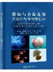 Biological Research on the Large Jellyfish from Bohai sea and Northern Yellow Sea