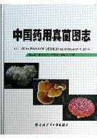 Illustrations of Medicinal Fungi in China