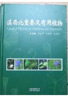 Useful Plnats in Northwest Yunnan