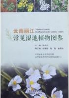 Illustrated Guide to Common Wetland Plants in Lijiang, Yunnan