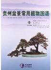 Atlas of Common Bonsai Plants in Guizhou 