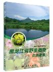 Atlas of Identification on Wild Plants in Heilongjiang Province