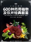 Classic Illustrations of 600 Kinds of Medicinal Plants and Herbal Pieces