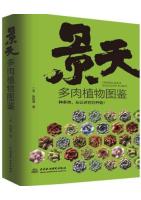 Crassulaceae Succulent Plants