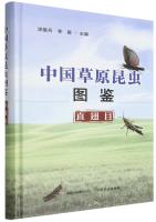 Illustrated Guide to Grassland Insects of China (Orthoptera)
