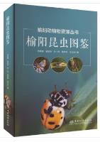 Atlas of Insects in Yuyang