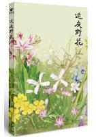 Wild Flowers of Yanqing