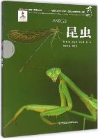 Series of the National Zoological Museum of China for Wildlife Ecology and Conservation:Insects