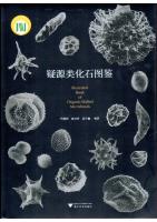 Illustrated Book of Organic-Walled Microfossils
