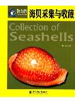 Collection of Seashells 