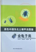 Primary Color Illustration of Soil Beetles in Northeast China-Scarabaeoidea