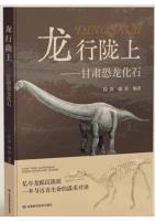 Walking on the Longshang-Dinosaur Fossils in Gansu