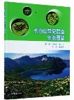 Ecological Photograph of Common Insects in Changbai Mountain