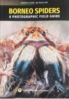 Borneo Spiders: A Photographic Field Guide 