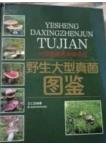 Field Guide to Wild Macrofungi in Altay Region, Xinjiang, China