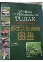 Field Guide to Wild Macrofungi in Altay Region, Xinjiang, China