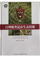 Natural History of True Bugs A 100-Species Photographic Guide