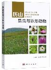 Insects and Arachnids of Lishan