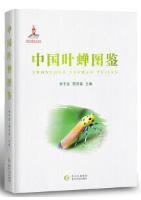 Illustrated Book of Chinese Cicadellidae