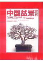 China Penjing & Scholar's Rocks (2012.1)
