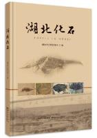 Fossil in Hubei