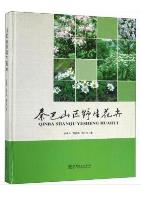 Wild Flowers of Qinba Mountain Areas (Qinba Shanqu Yesheng Huahui)