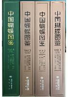 Butterflies of China (4 volume set)