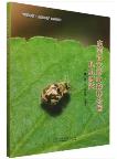 Atlas of Insect in Dalingshan Forest Park,Dongguan City