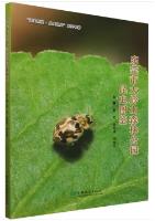 Atlas of Insect in Dalingshan Forest Park,Dongguan City