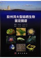 Identificatiojn Atlas of Macrobenthos Kiaochow Bay