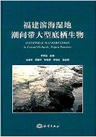 Intertidal Macrobenthos in Coastal Wetlands, Fujian Province