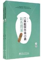 Color Atlas of Exotic Bark Beetles Intercepted at Ports (2 volumes set)