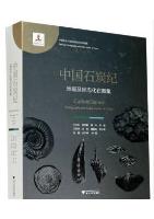 Carboniferous Stratigraphy and Index Fossils of China