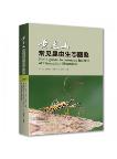 Field Guide to Common insects of Huanglian Mountain