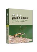 Field Guide to Common insects of Huanglian Mountain