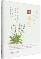 Chinese and Foreign Cultures, Ancient and Modern, Talk about Chicory (Plants and Humans)