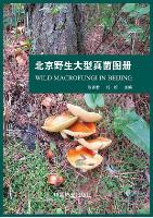 Wild Macrofungi in Beijing