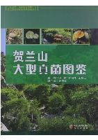 Atlas of Fungus in Helan Mountain