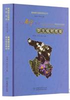 Common Plants in Xining, Qinghai Province