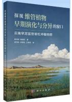 A Window Into the Early Evolution and Diversification of Vascular Plants: The Early Devonian Posongchong Flora from Yunnan