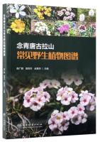 Illustrated Guide to Common Wild Plants in Nyenchen Tanglha Mountain