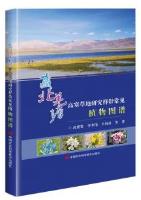 Atlas of Common Plants in the Study Transect of Qiangtang Alpine Grassland in Northern Tibet